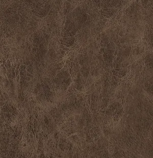 Mud Pie AT970 Laminate Sheet, Abstracts - Pionite